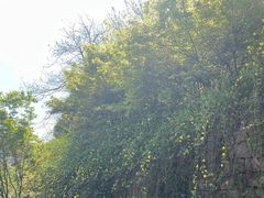 -南山风景名胜区