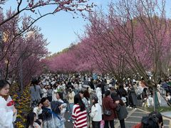 -阿哈湖国家湿地公园