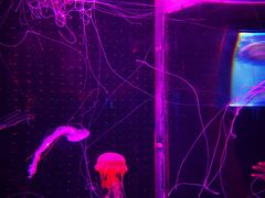 -多彩贵州城极地海洋世界