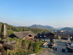 -大唐贡茶院
