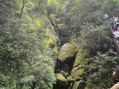 -青城山