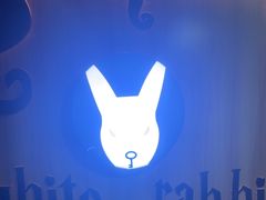 -白兔子密室(长寿路店)