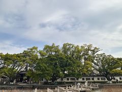 -江心屿景区