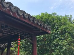 -花溪公园
