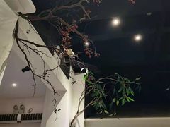 -春天来了(印象新天地店)