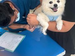 -瑞派申生动物医院·24H夜诊·国际动物医疗中心·骨外科(吴中路店)