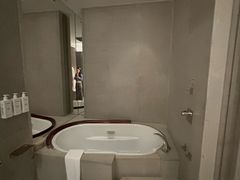 -上海柏悦酒店