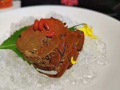 菊花醉蟹-蟹榭·本帮江浙菜·蟹宴(五角场合生汇商场店)