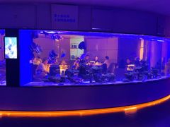 -上和臻品中国菜(花园街店)