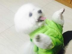 -佳雯宠物医院(四明中路分院)