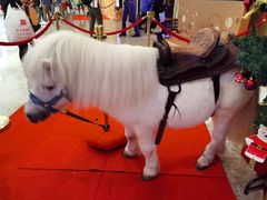 -珠海横琴长隆《卡卡虎奇遇记》