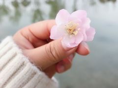 -堤角公园