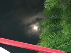 -木屋烧烤(惠阳华润小径湾店)