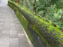 -子昂故里文化旅游区