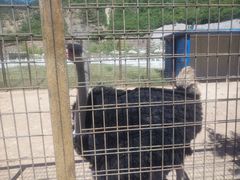 -山西乌金山旅游区