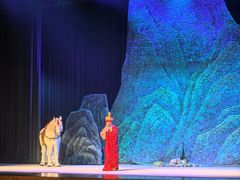 -北京大学百年讲堂