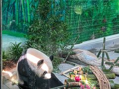 -灵玲国际马戏城