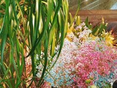 -春暖花开(西溪店)