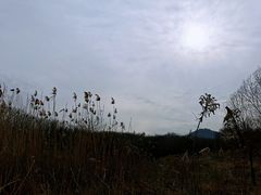 -南京市江宁方山