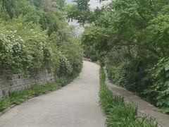 -佛慧山