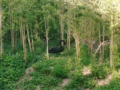 -横山寺