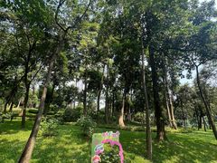 -云溪植物园
