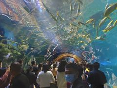 -华夏文旅海洋公园