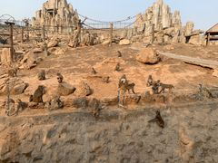 -石家庄市动物园