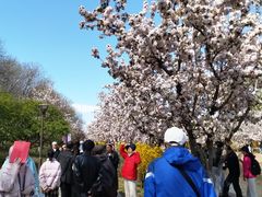 -元大都城垣遗址公园