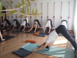 -Y+U遇瑜伽·普拉提