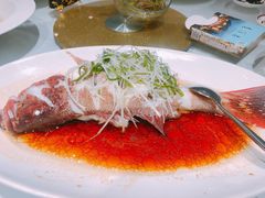 -老洋房花园饭店(绍兴路店)