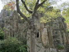 -嘉北郊野公园