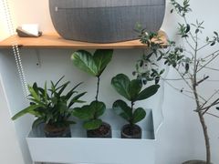 -Onirii Coffee(长乐路店)