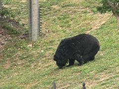 -无锡动物园·太湖欢乐园