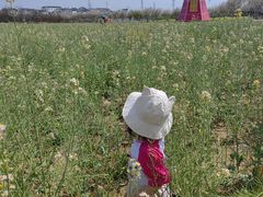 -武汉紫薇都市田园