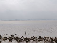 -深圳湾公园(南山区)