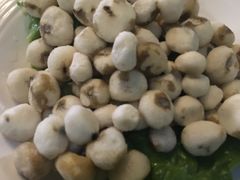 -润青四季音乐主题餐厅·椰子鸡(罗湖店)
