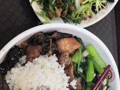 凉拌苦菊-北大学一食堂