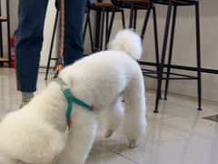 -佳雯宠物医院(四明中路分院)