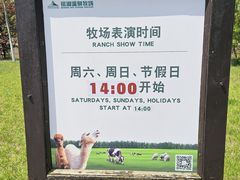 -大连铭湖国际观光牧场