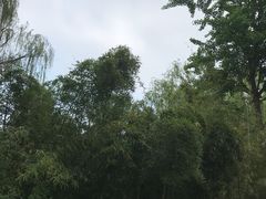 -毛家饭店(澳德乐店)