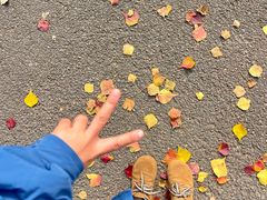 -东钱湖旅游度假区