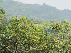 -广州市白云山风景名胜区