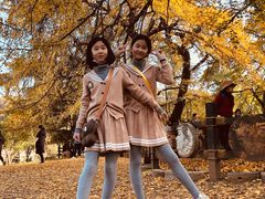 -千年银杏谷文化旅游区
