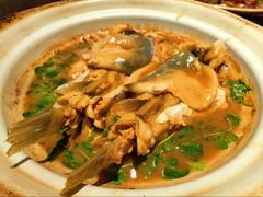 镇江秧草烧豚鱼-永安鱼庄·镇江菜(东吴路店)