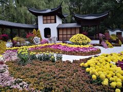 -上海共青森林公园