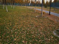 -瀛海足球主题公园