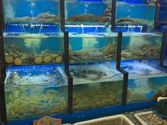 水产区-老东镇啤酒屋海鲜加工·蒸汽海鲜·海鲜烧烤(台东店)