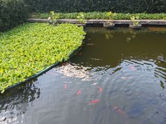 -宁波市保国寺古建筑博物馆