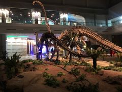 -自贡恐龙博物馆